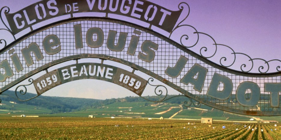 Louis Jadot Clos de Vougeot vineyard metal sign arches above the wall