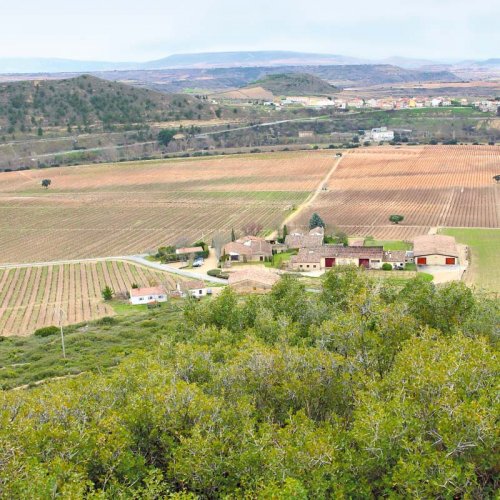 Contino property & vineyards in Rioja Alavesa, photographed from the hillside, with long views toward distance hills