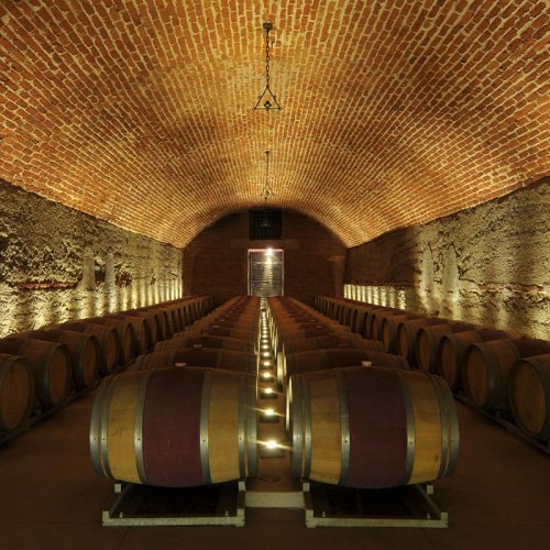 Errazuriz wines ageing in oak barrels within a cellar of long rough walls and an arched red brick ceiling