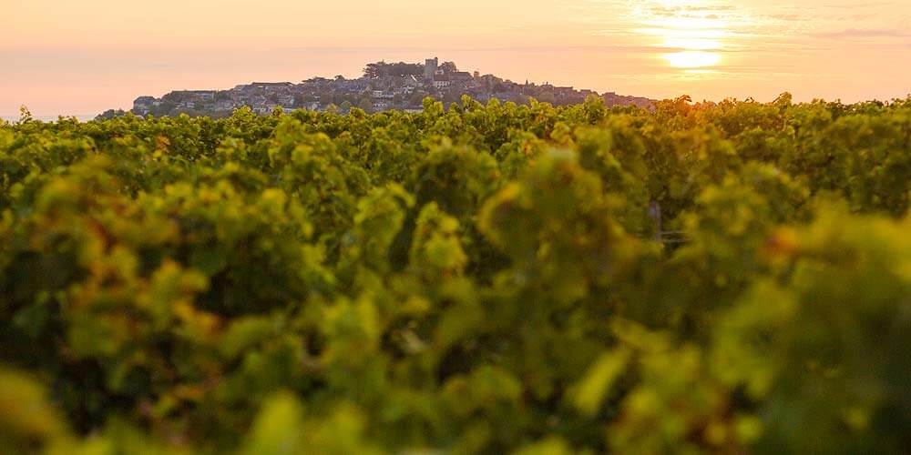 The medieval hilltop town of Sancerre visible behind a low-down view across a vineyard, with the sun setting behind