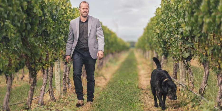 Richard Painter, Winemaker walks down a row of vines with his constant companion dog - Sam
