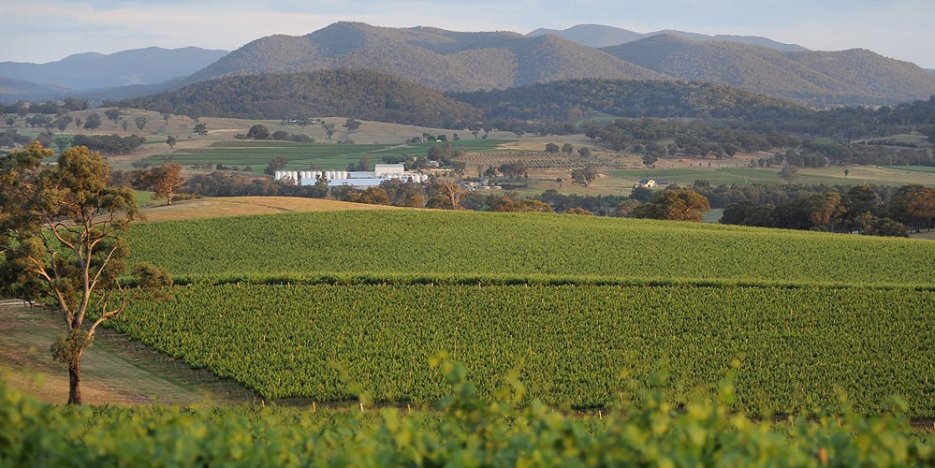 Robert Oatley's Mudgee winery in the middle ground in front of large hills in the background and acres of vines on the gently rolling slopes in the foreground