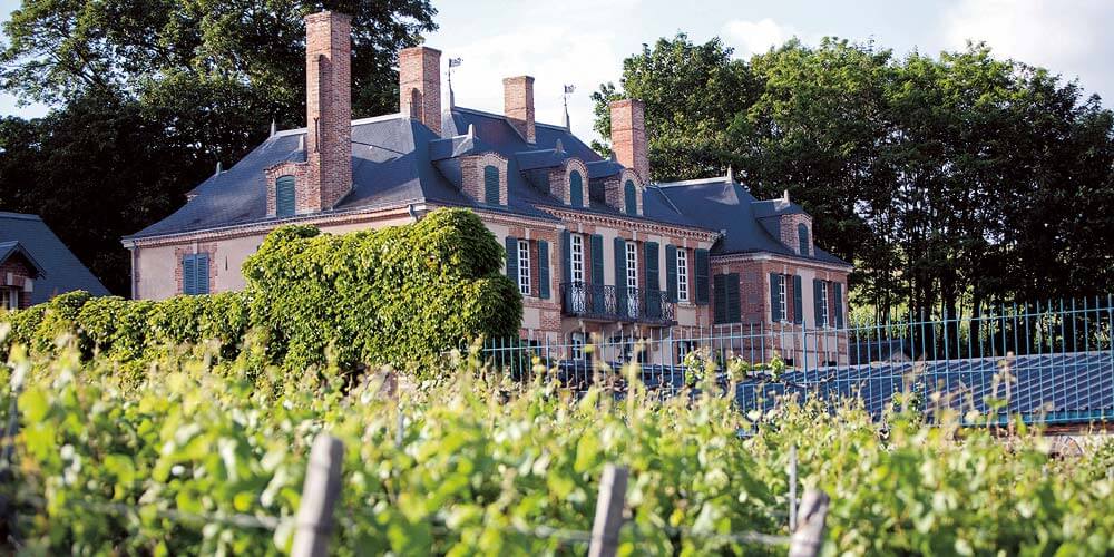 Château de la Marquetterie - the Taittinger family home - visible behind the ivy clad wall that separates it from the neighbouring vineyard from where the photo is taken