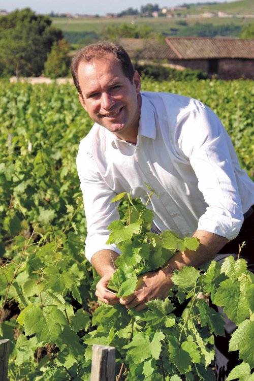 Grégory Barbet, President of Terroirs et Talents, examines vine growth in the spring sunshine