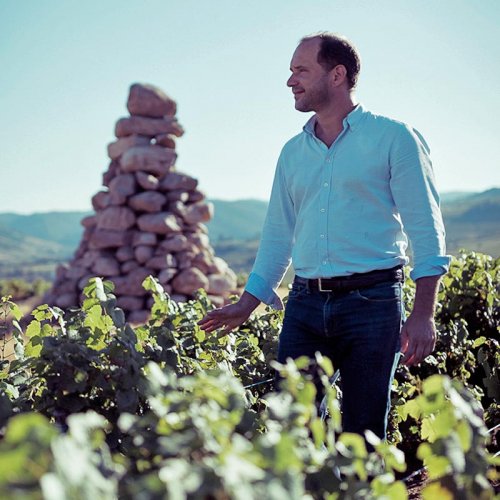 Grégory Barbet, President of Terroirs et Talents, standing in a vineyard, dressed in a light blue shirt and dark blue jeans