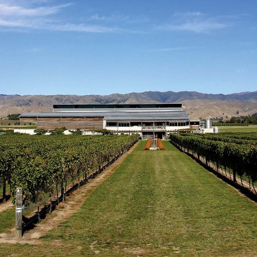 Looking along a row of vines towards the Villa Maria Marlborough winery, just outside Blenheim