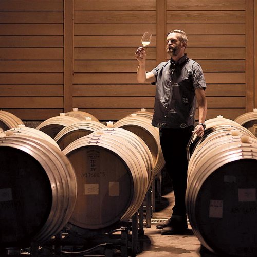 Winemaker checking the progress of white wine production by looking at a glass sampled from the oak barrels he stands amongst