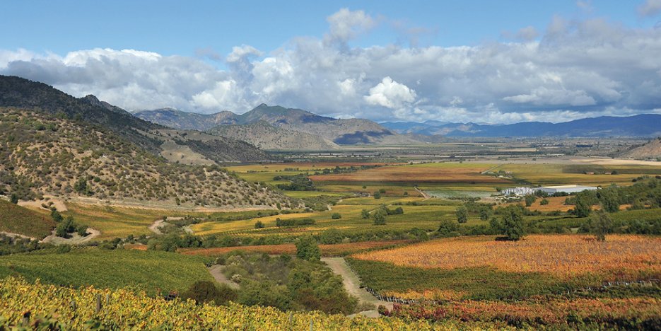 Caliterra's Colchagua vineyards and winery in the valley surrounded by hills