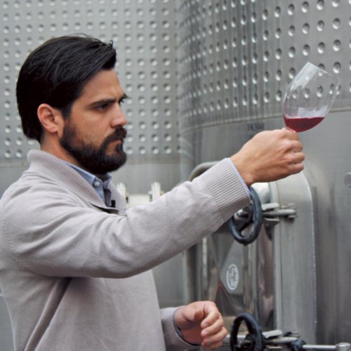 Rodrigo Zamorano, Caliterra's Chief Winemaker, stands among the stainless steel fermenters, examining the progress of fermenting red wine poured into a wine glass