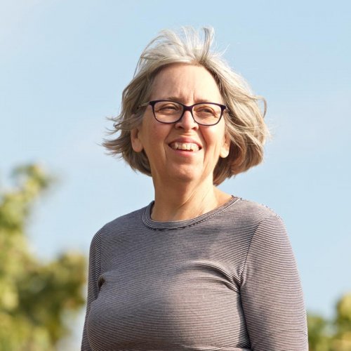 Anne Colombo - Vineyard and Vinification advisor - surveys the vineyard midway through harvest