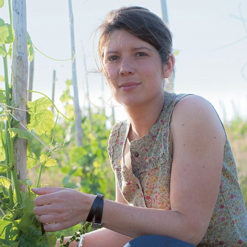 Laure Colombo - Vineyard Manager and Winemaker - dressed in a floral top, crouches to check on young vine growth in the morning sun
