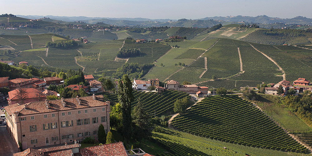 Alteni di Brassica vineyards from Barbaresco - Gaja winery in foreground