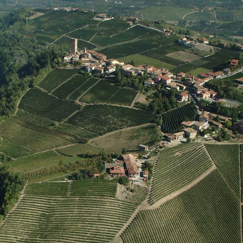 Vineyards surrounding Barbaresco