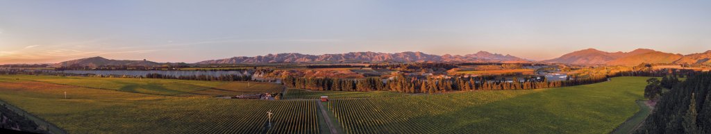 Panorama of Marlborough, Seddon vineyard in dusk's orange glow
