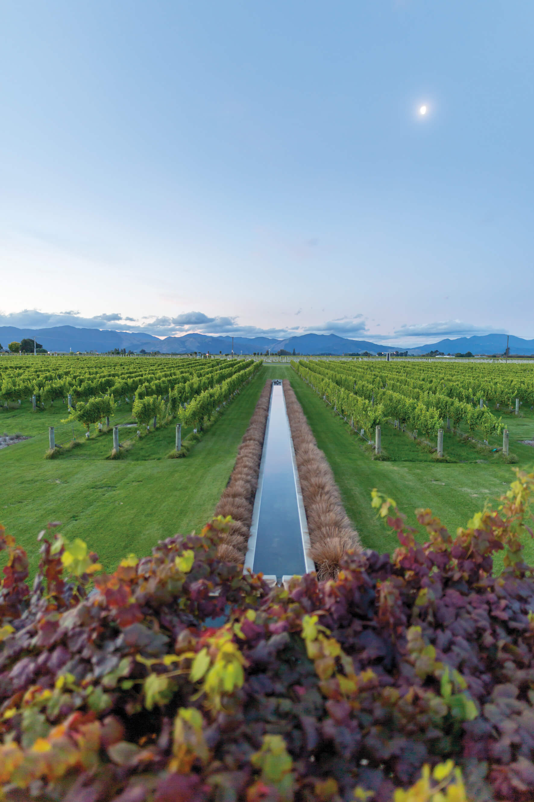 A water way runs directly out into the vineyards from the Marlborough Winery, with mountains in the distance