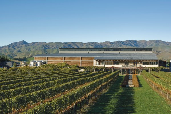 The Marlborough Winery, vines in front, mountains behind