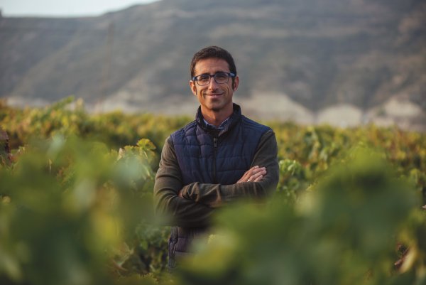 Jorge Navascués - Contino Head Winemaker in the vineyard
