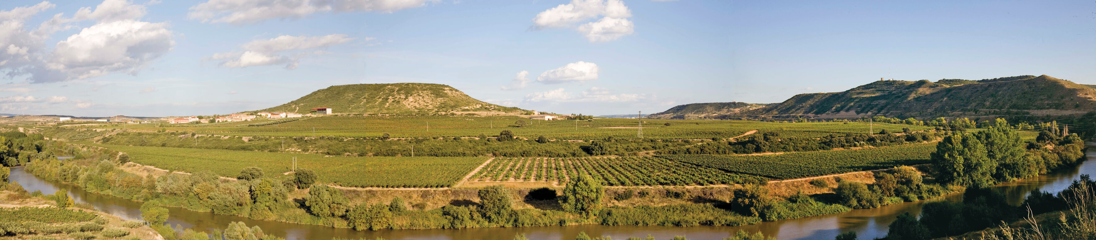 Panaroma of Contino vineyards