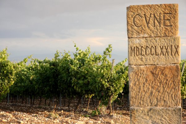 Close up of a stone date post by the C.V.N.E. vineyard - photo by James Sturcke