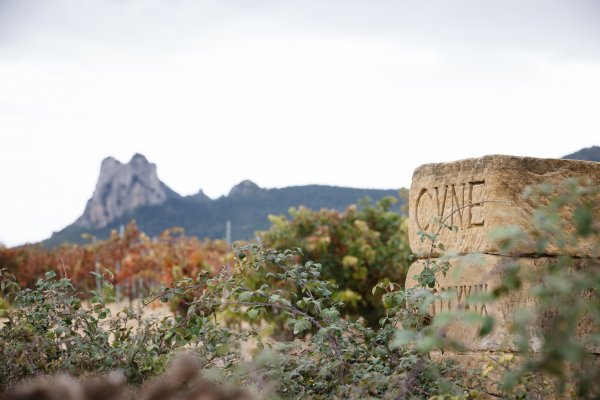 Close up of a stone date post by the C.V.N.E. vineyard - photo by James Sturcke