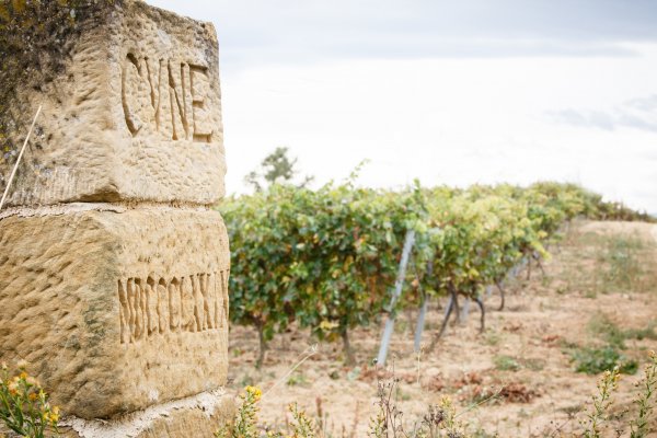 Close up of a stone date post by the C.V.N.E. vineyard - photo by James Sturcke