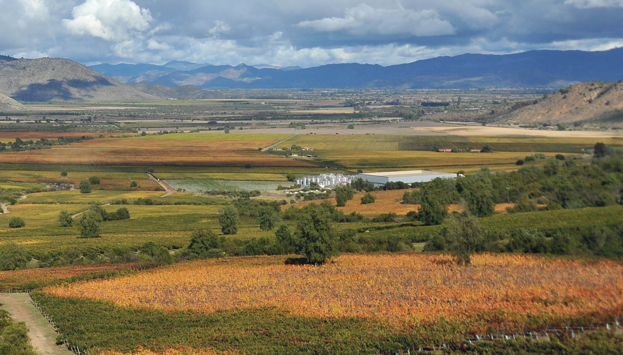 The Caliterra winery set among the vineyards of the Colchagua valley