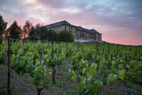 The winery at the top of a hill of vines in low light
