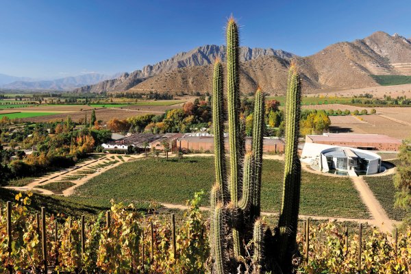 The 1870 Winery and Icon Wineries side by side viewed from the terraced vineyard