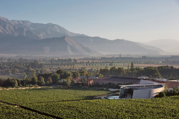 The 1870 Winery and Icon Wineries side by side valley overview