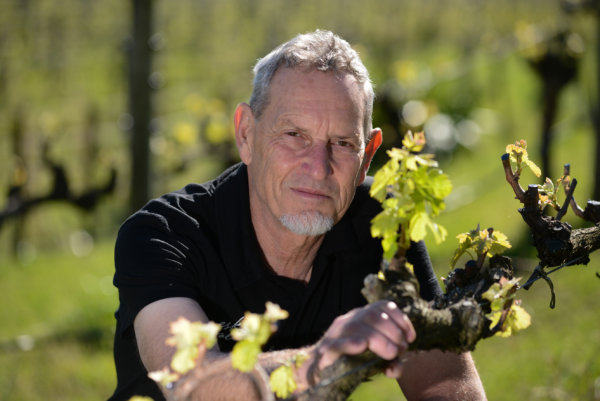 Gordon Russell, winemaker in the vineyard