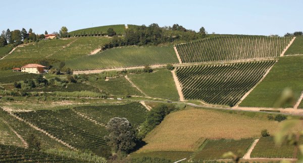 Barbaresco Sorì Tildin and Costa Russi vineyards