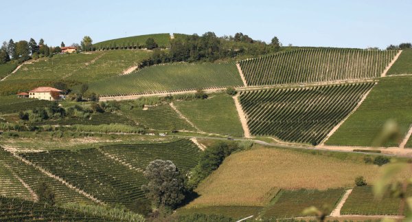 Barbaresco Sorì Tildin and Costa Russi vineyards