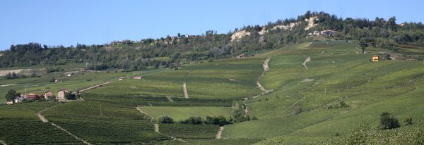 Barolo Dagromis vineyards