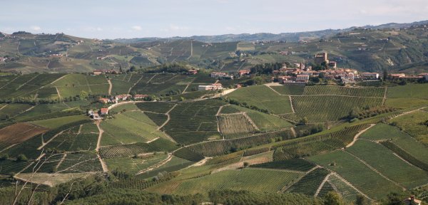 Barolo Sperss vineyards