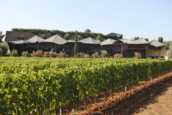 Ca'Marcanda winery and vineyard