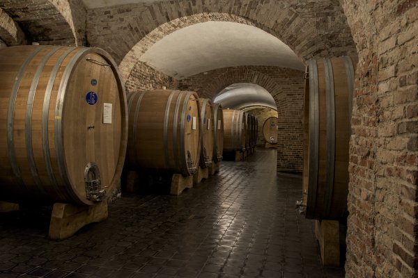 Gaja cellars in Barbaresco - image credit Mirco Taliercio