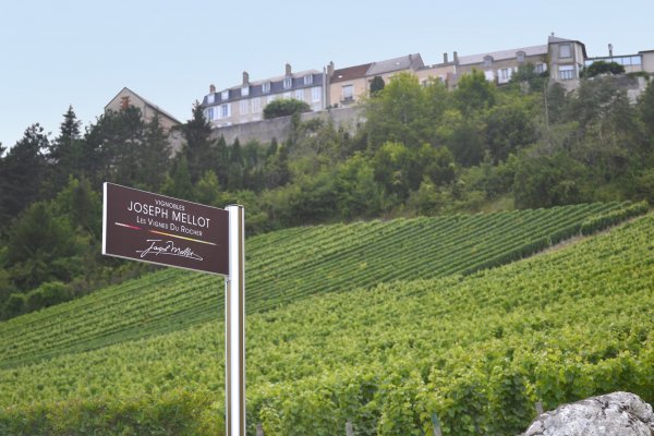 Les Vignes du Rocher vineyard sign