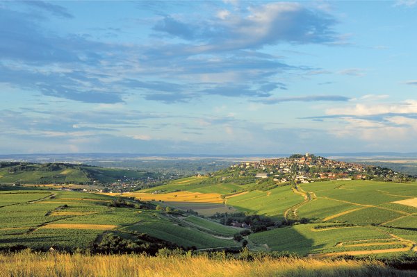 Sancerre rises above rolling vineyards