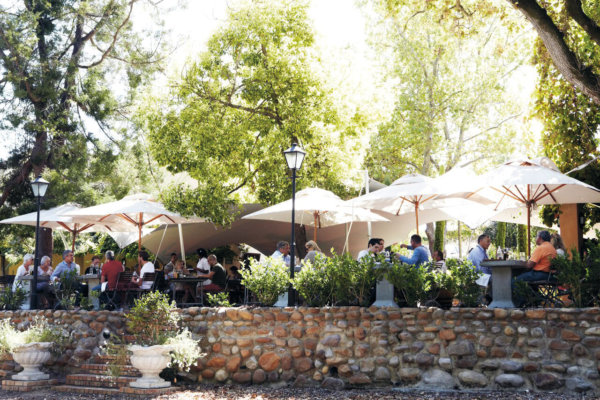 Cream coloured parasols protect diners on the Kleine Zalze outdoor restaurant terrace