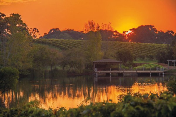View across the pond toward the sunset at the Margaret River cellar door