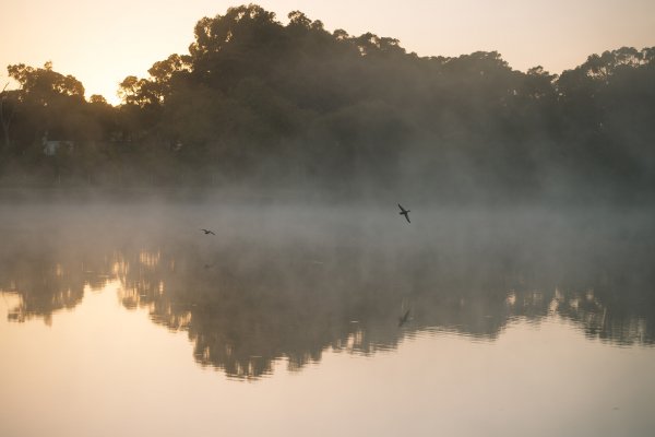 Margaret River mist