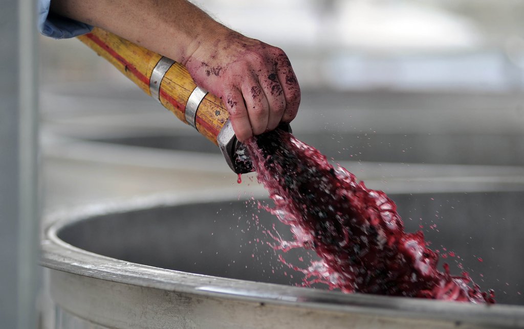 Transferring the grape crush to a fermenter at the winery. Image credit Jack Atley