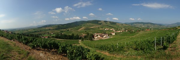 Château de la Terrière Mont Brouilly and vineyards