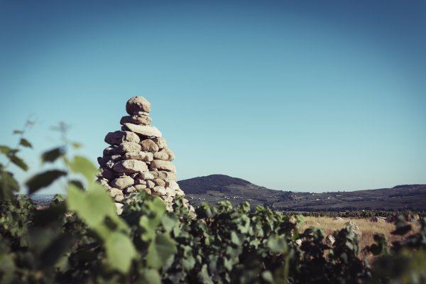 Château de la Terrière Tour Boudon in the vineyard with Mont Brouilly behind