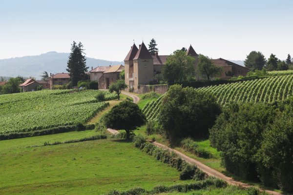 Château de la Tour Penet property and vineyards - photo credit Daniel Gillet