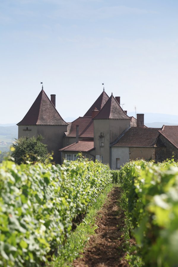Château de la Tour Penet property and vineyards - photo credit Daniel Gillet