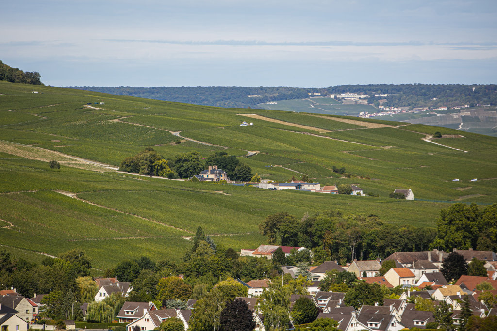 Taittinger's home nestling among La Marquetterie vineyards