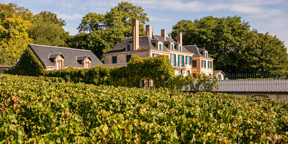 The Taittinger Château as seen from La Marquetterie vineyards that surround the property that takes their name