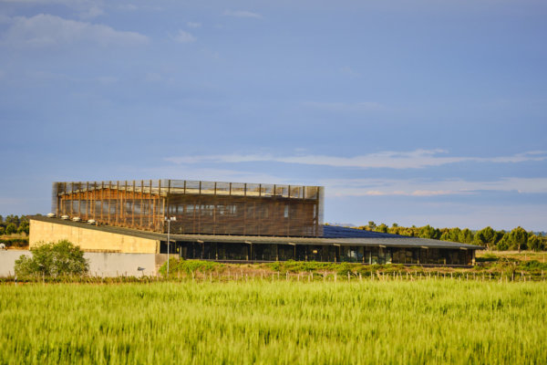 Bela winery in Ribera del Duero