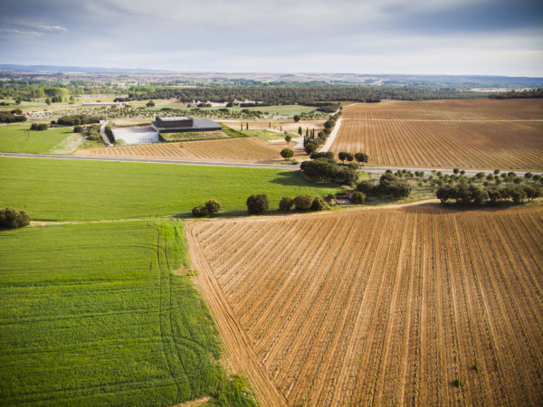 Bela winery in Ribera del Duero among the vines